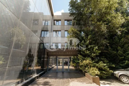 Офис, Буюканы, ИОН КРЯНГЭ