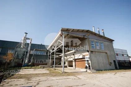 Склад, Чеканы, ИНДУСТРИАЛЭ