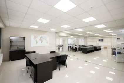 Офис, Ботаника, ДЕЧЕБАЛ