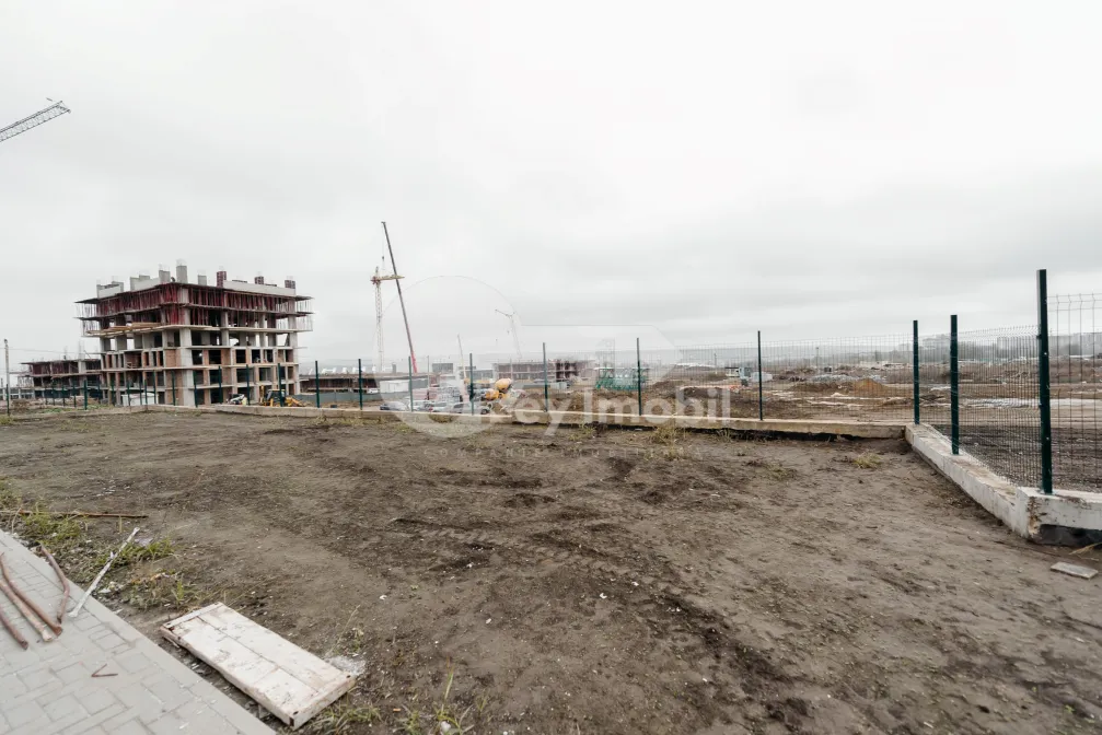 Дом, Ботаника, ДАЧИЯ