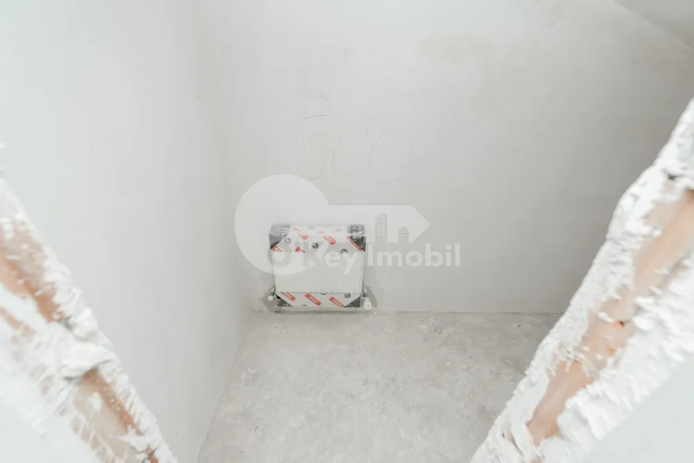 Дом, Ботаника, ДАЧИЯ