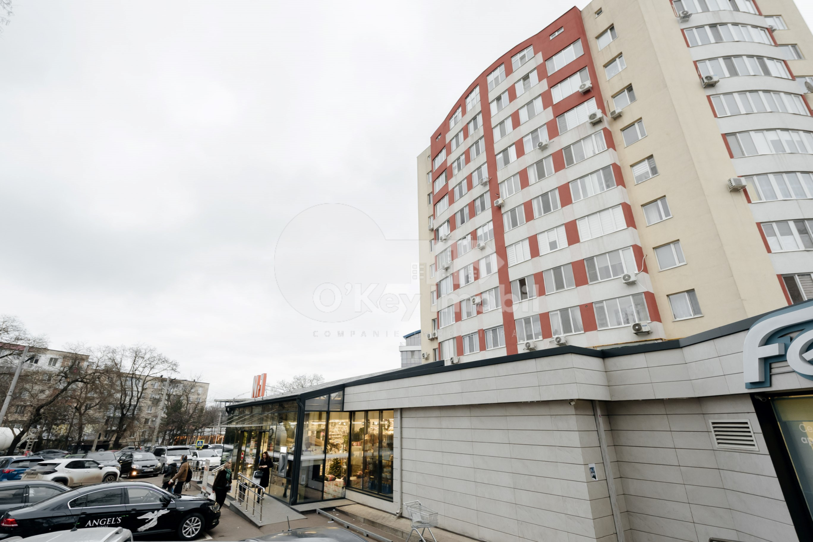 Apartament, Telecentru, VASILE DOKUCEAEV