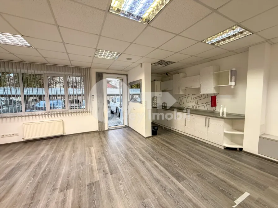 Офис, Рышкановка, РЕНАШТЕРИЙ