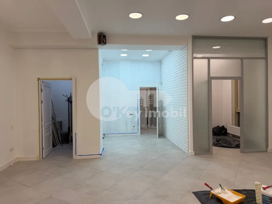 Комм. помещение, Центр, ШТЕФАН ЧЕЛ МАРЕ