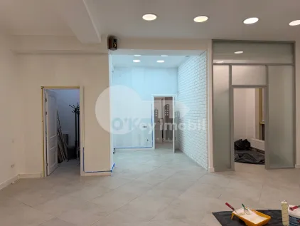 Комм. помещение, Центр, ШТЕФАН ЧЕЛ МАРЕ