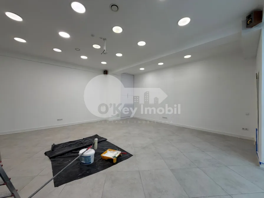 Комм. помещение, Центр, ШТЕФАН ЧЕЛ МАРЕ