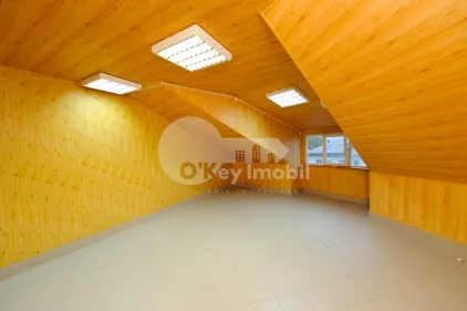 Офис, Центр, МИХАИЛ КОГАЛНИЧАНУ