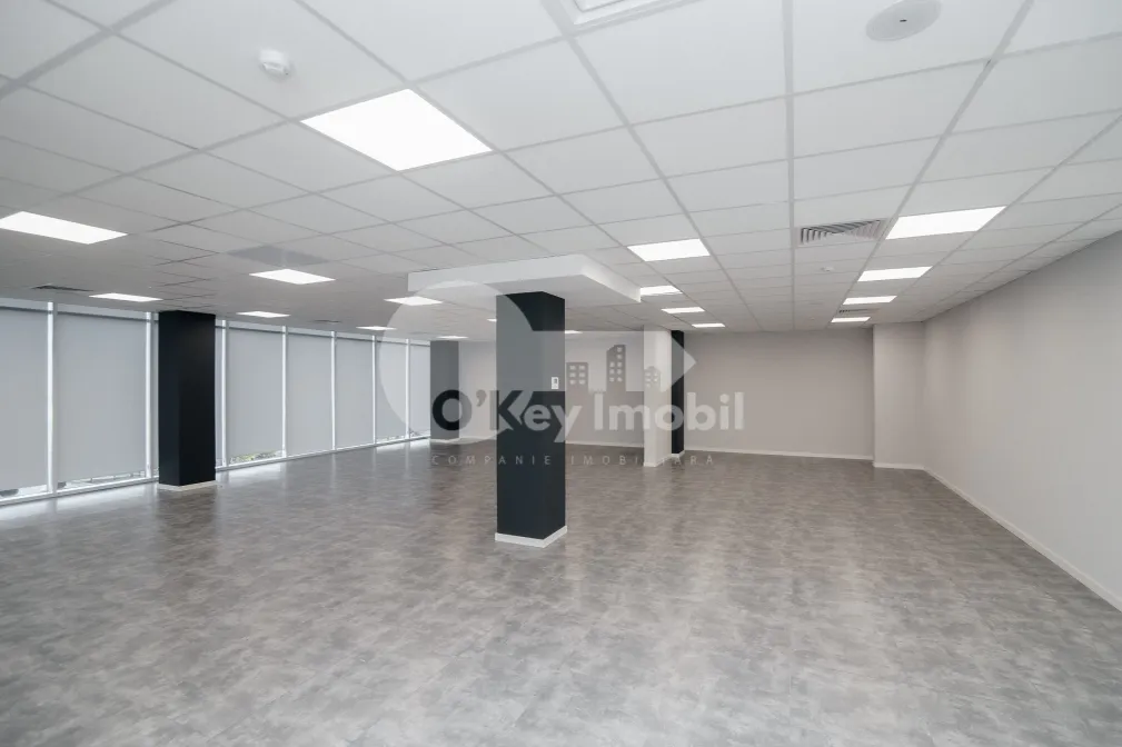 Офис, Ботаника, ДАЧИЯ