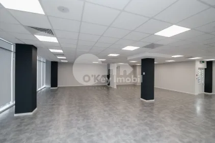 Офис, Ботаника, ДАЧИЯ