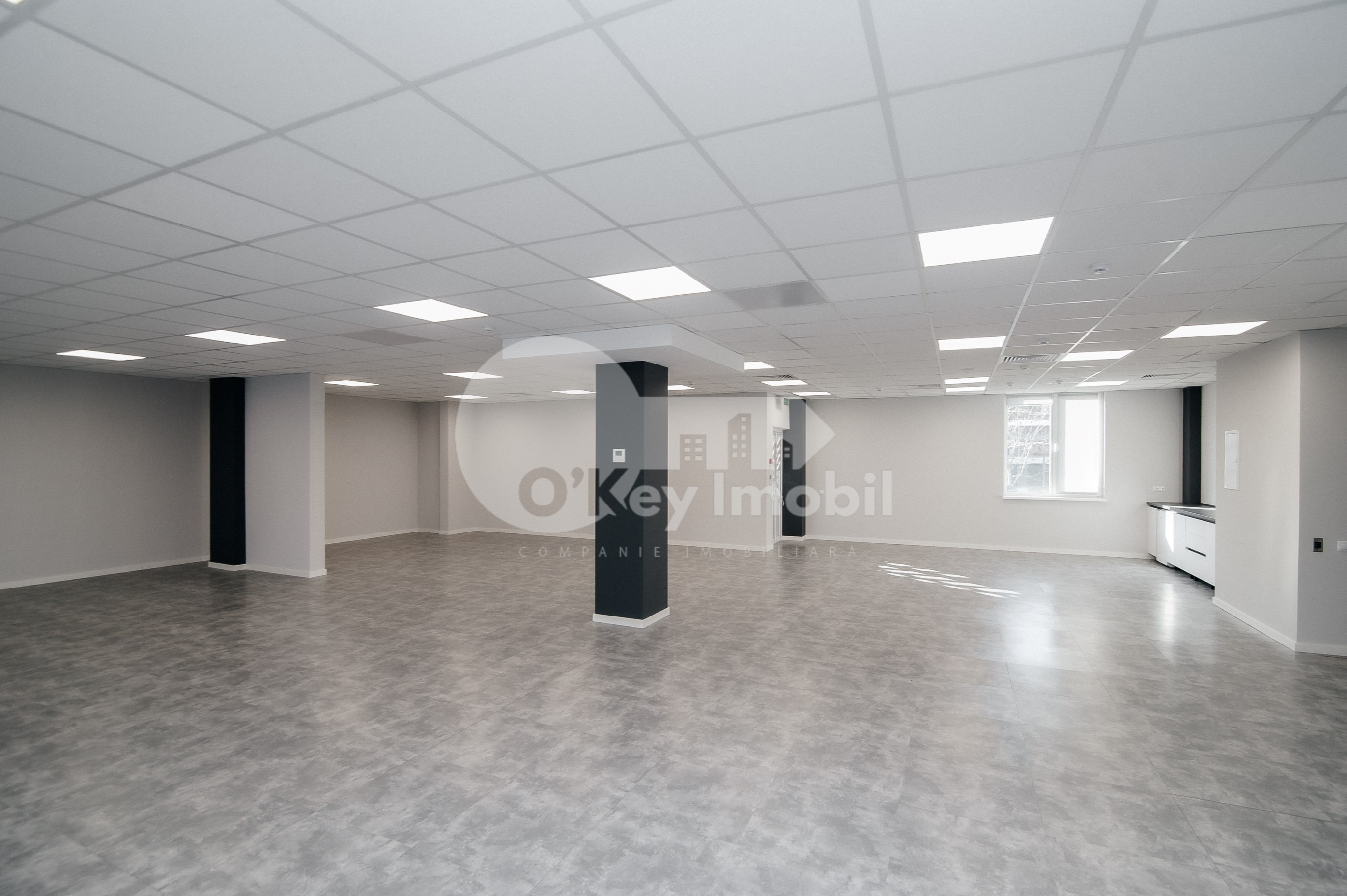 Oficiu, Botanica, DACIA