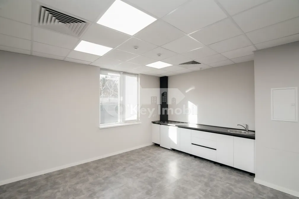 Офис, Ботаника, ДАЧИЯ