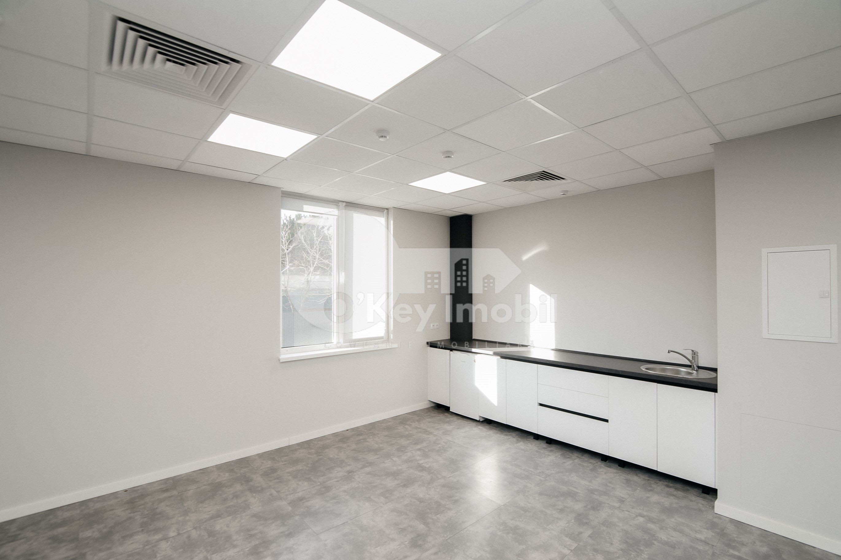 Oficiu, Botanica, DACIA