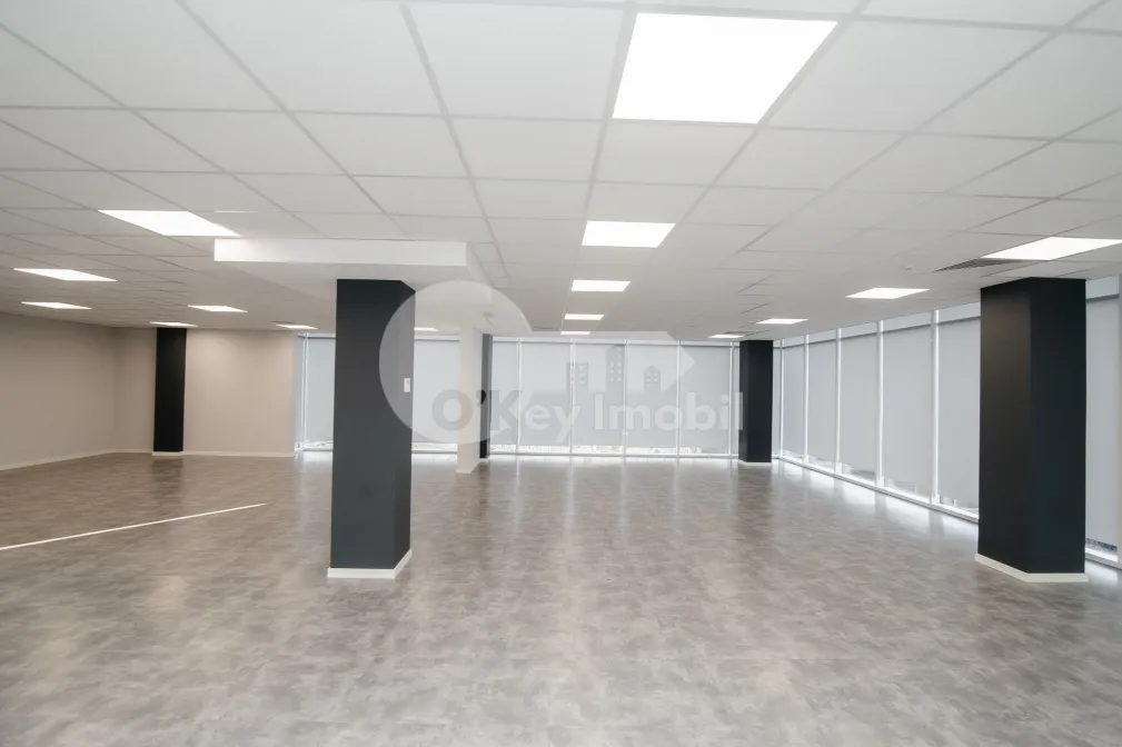 Офис, Ботаника, ДАЧИЯ