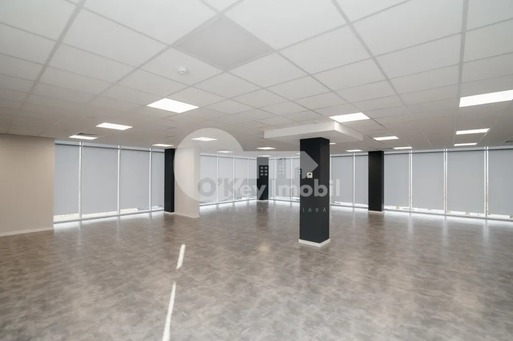 Офис, Ботаника, ДАЧИЯ