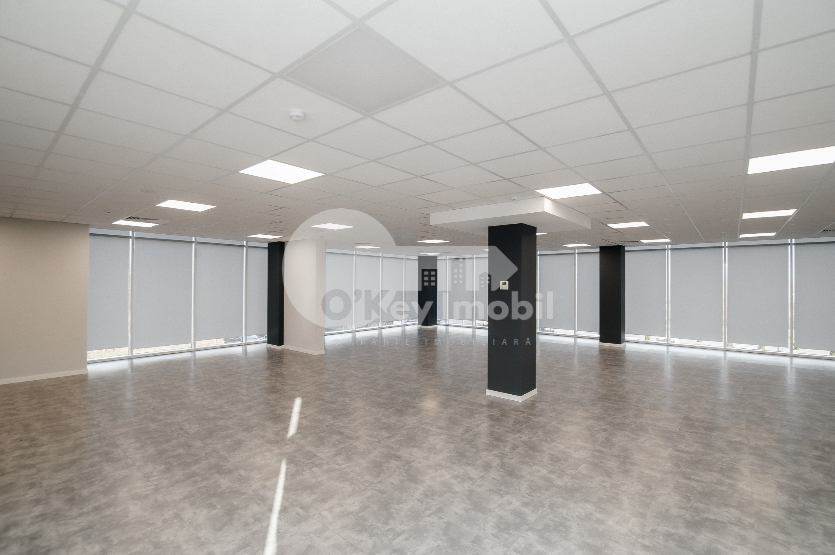 Oficiu, Botanica, DACIA