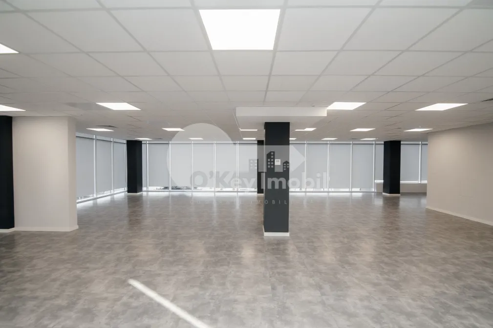 Офис, Ботаника, ДАЧИЯ