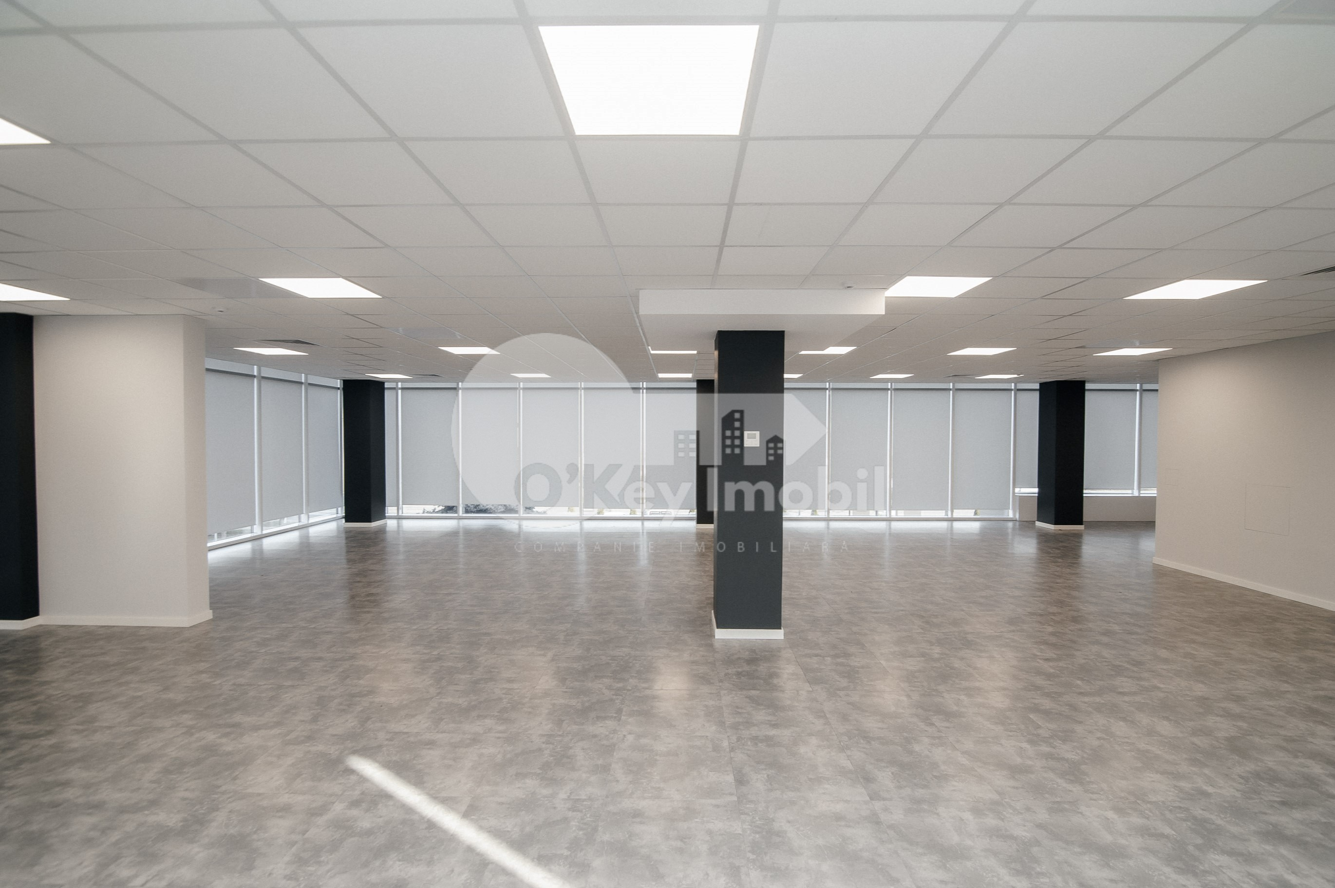 Oficiu, Botanica, DACIA