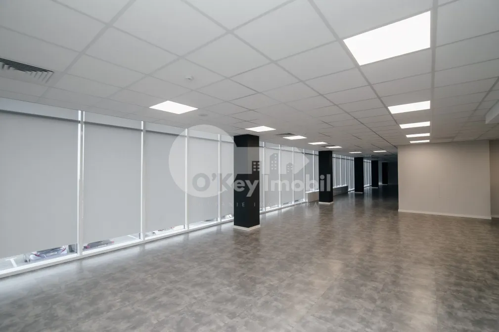 Офис, Ботаника, ДАЧИЯ