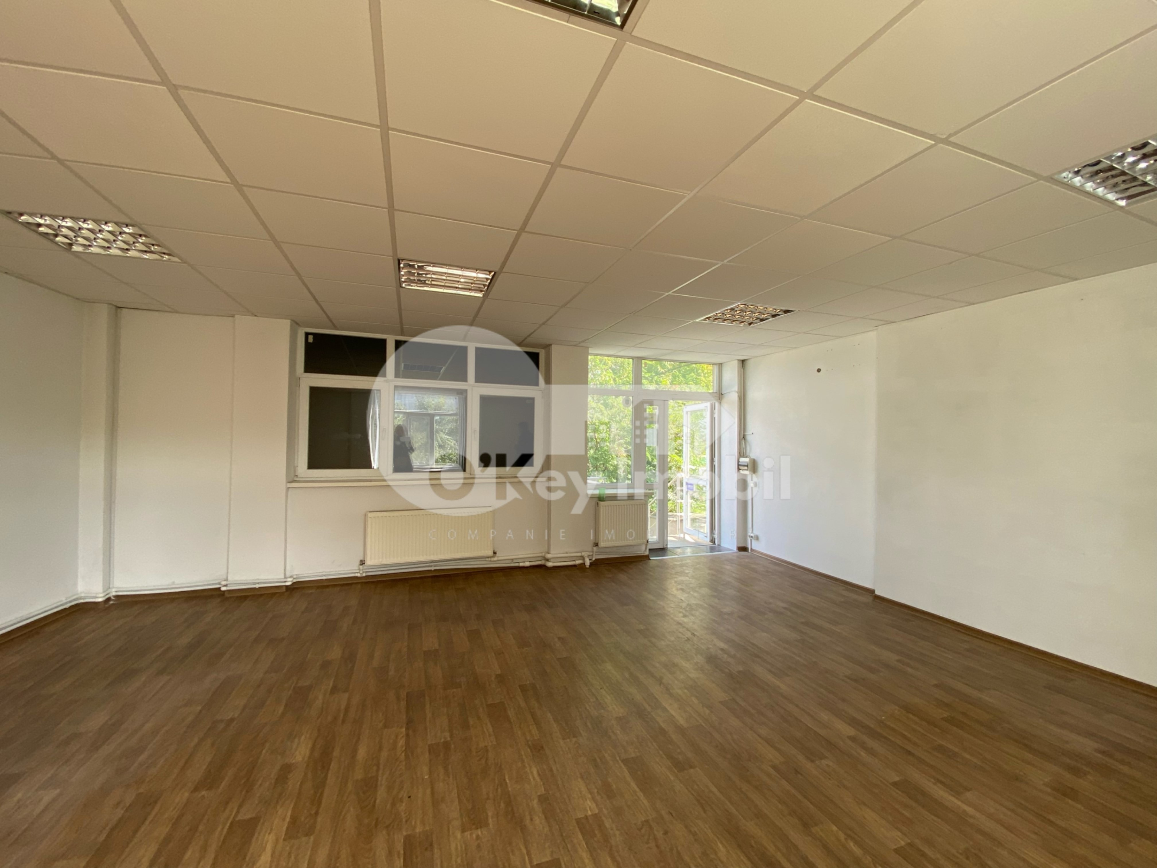 Spațiu comercial, Centru, ION NISTOR