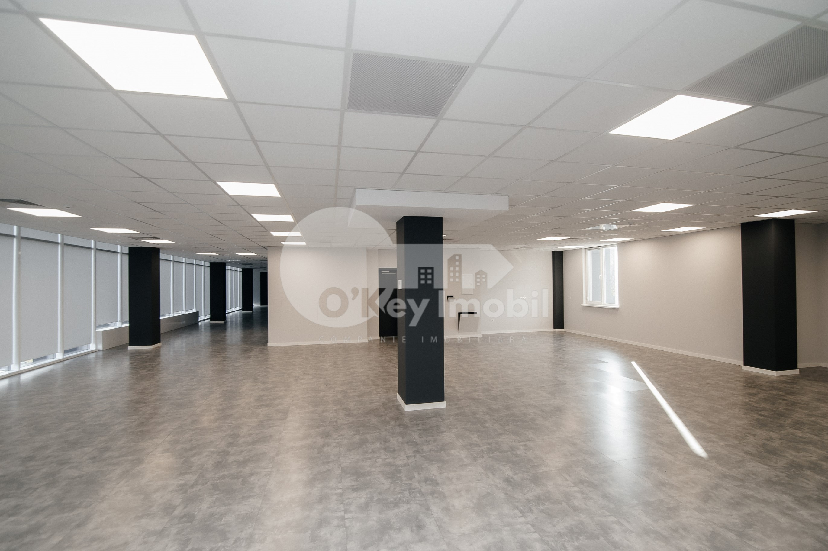 Oficiu, Botanica, DACIA