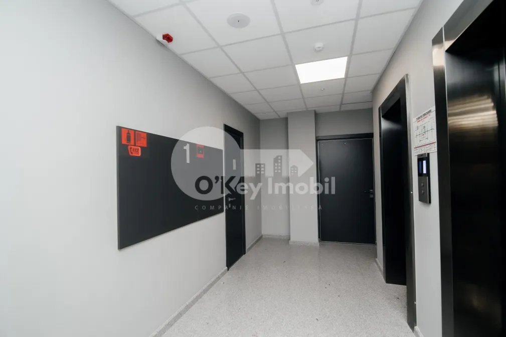 Офис, Ботаника, ДАЧИЯ