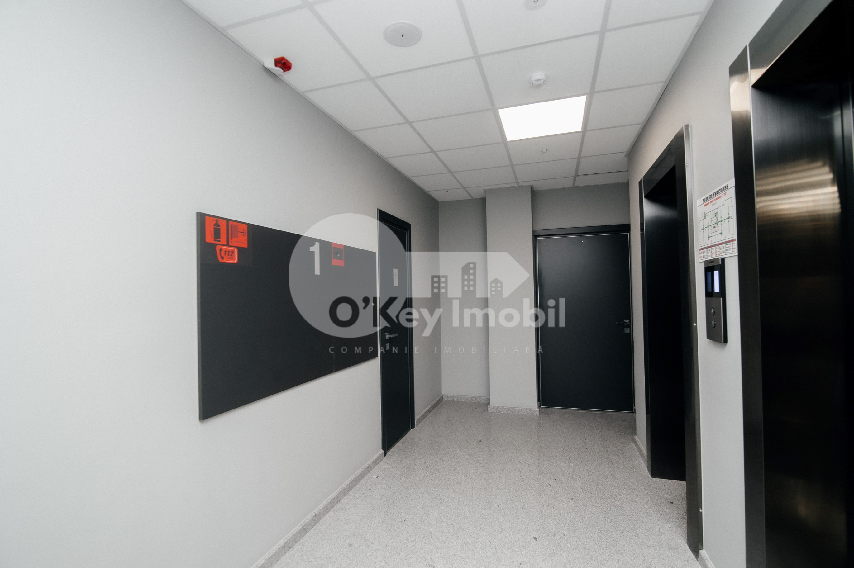 Oficiu, Botanica, DACIA