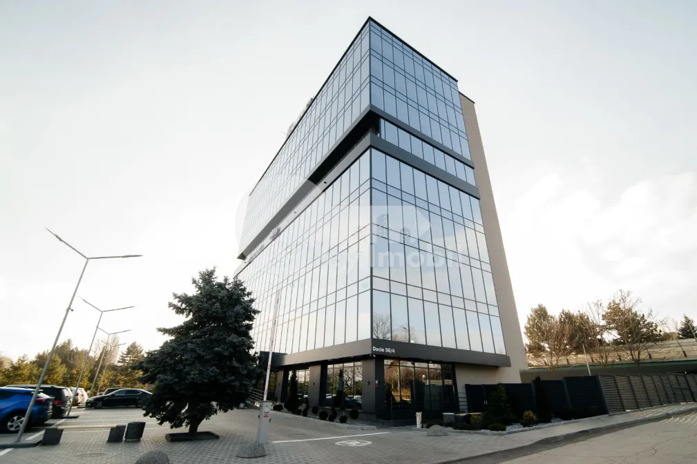 Офис, Ботаника, ДАЧИЯ