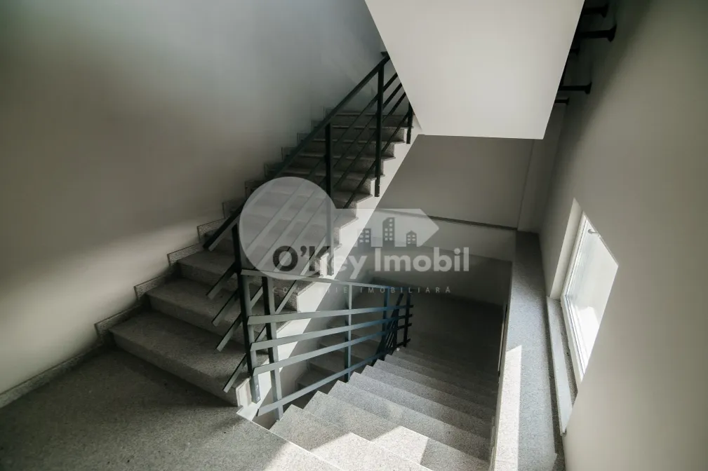 Офис, Ботаника, ДАЧИЯ