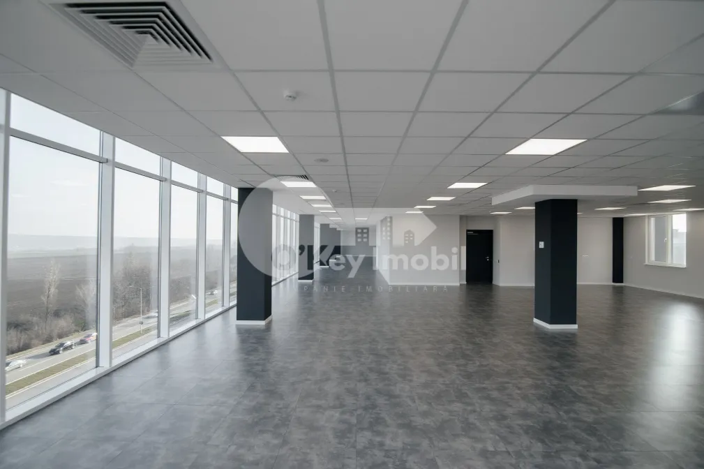 Офис, Ботаника, ДАЧИЯ