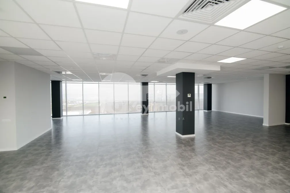 Офис, Ботаника, ДАЧИЯ