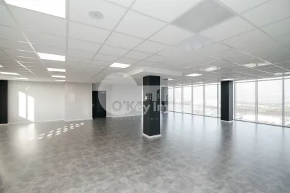 Офис, Ботаника, ДАЧИЯ