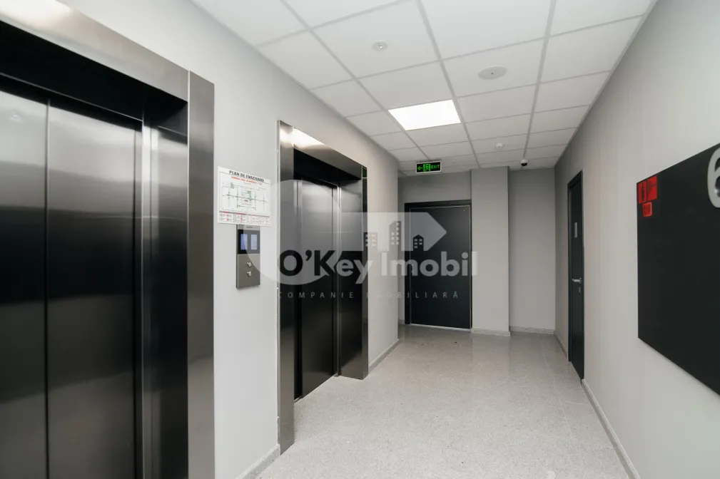 Офис, Ботаника, ДАЧИЯ