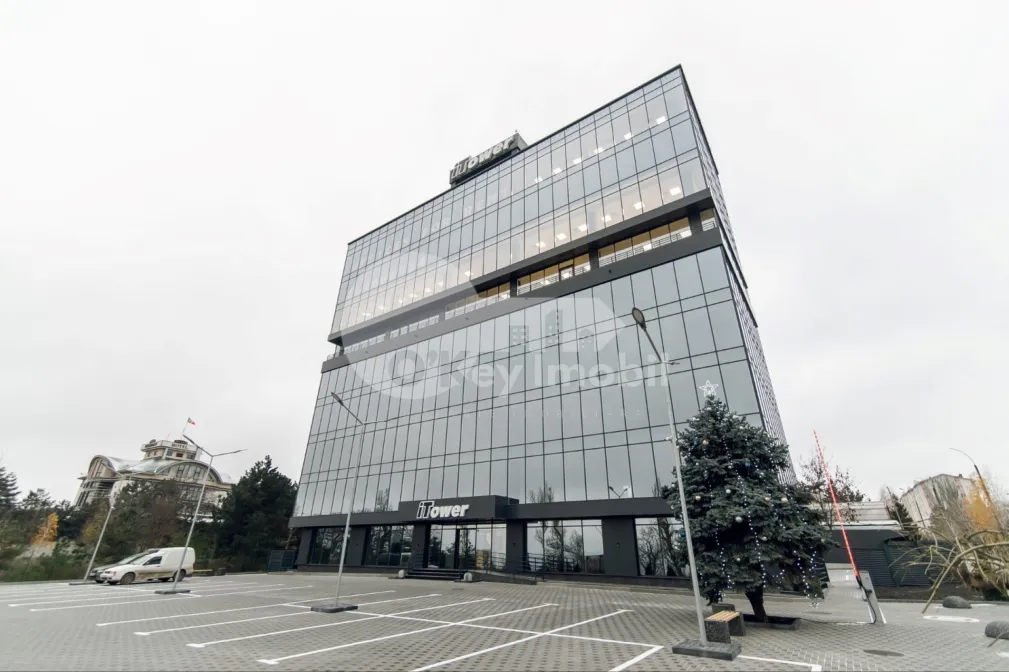 Офис, Ботаника, ДАЧИЯ