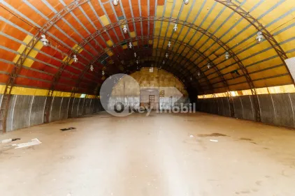 Склад, Ботаника, ЧЕТАТЯ АЛБЭ