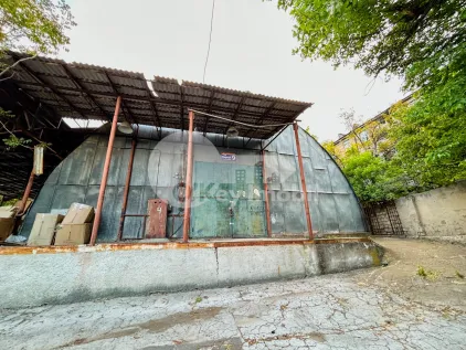 Склад, Ботаника, ЧЕТАТЯ АЛБЭ