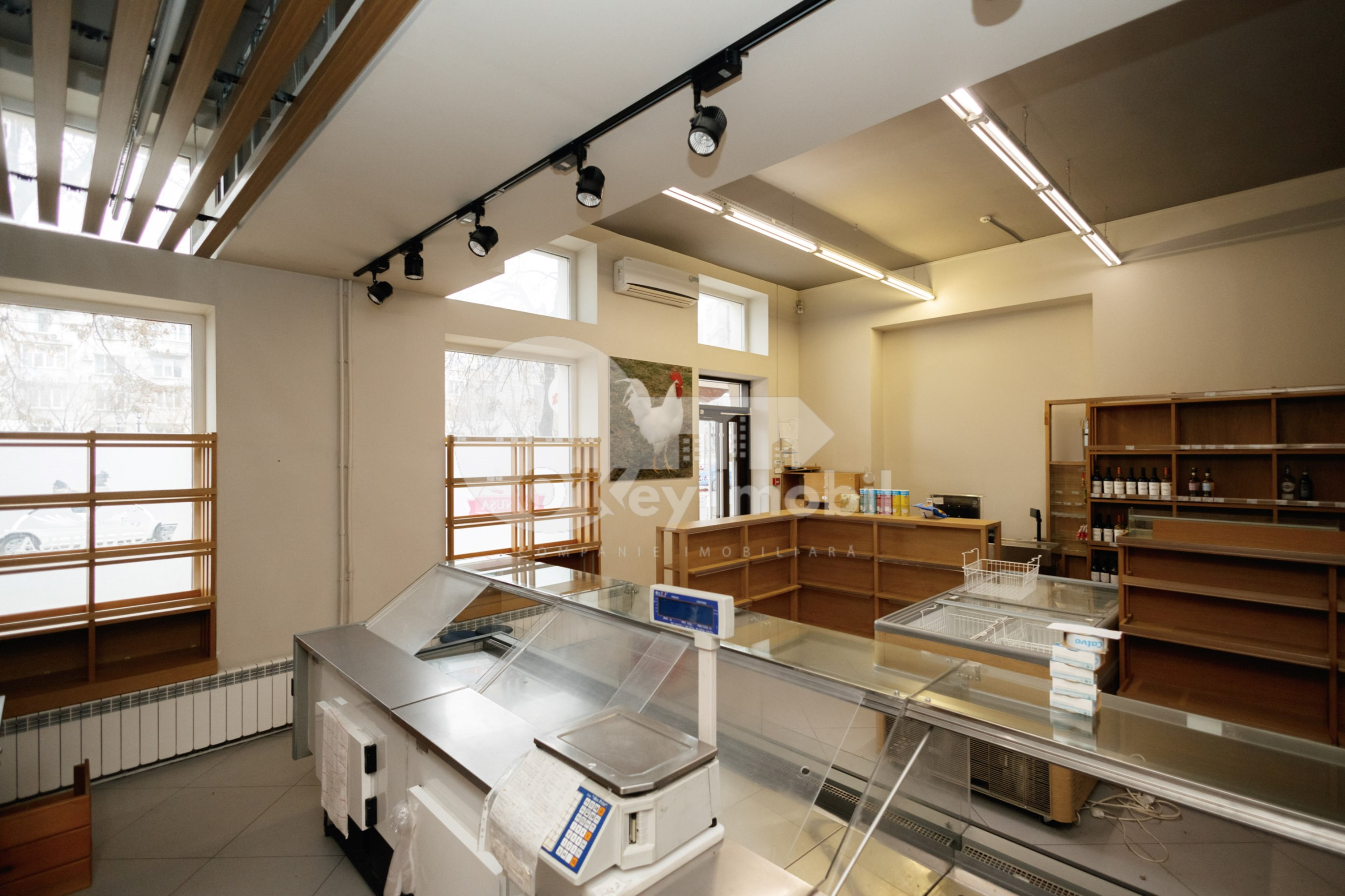 Spațiu comercial, Centru, GRIGORE VIERU