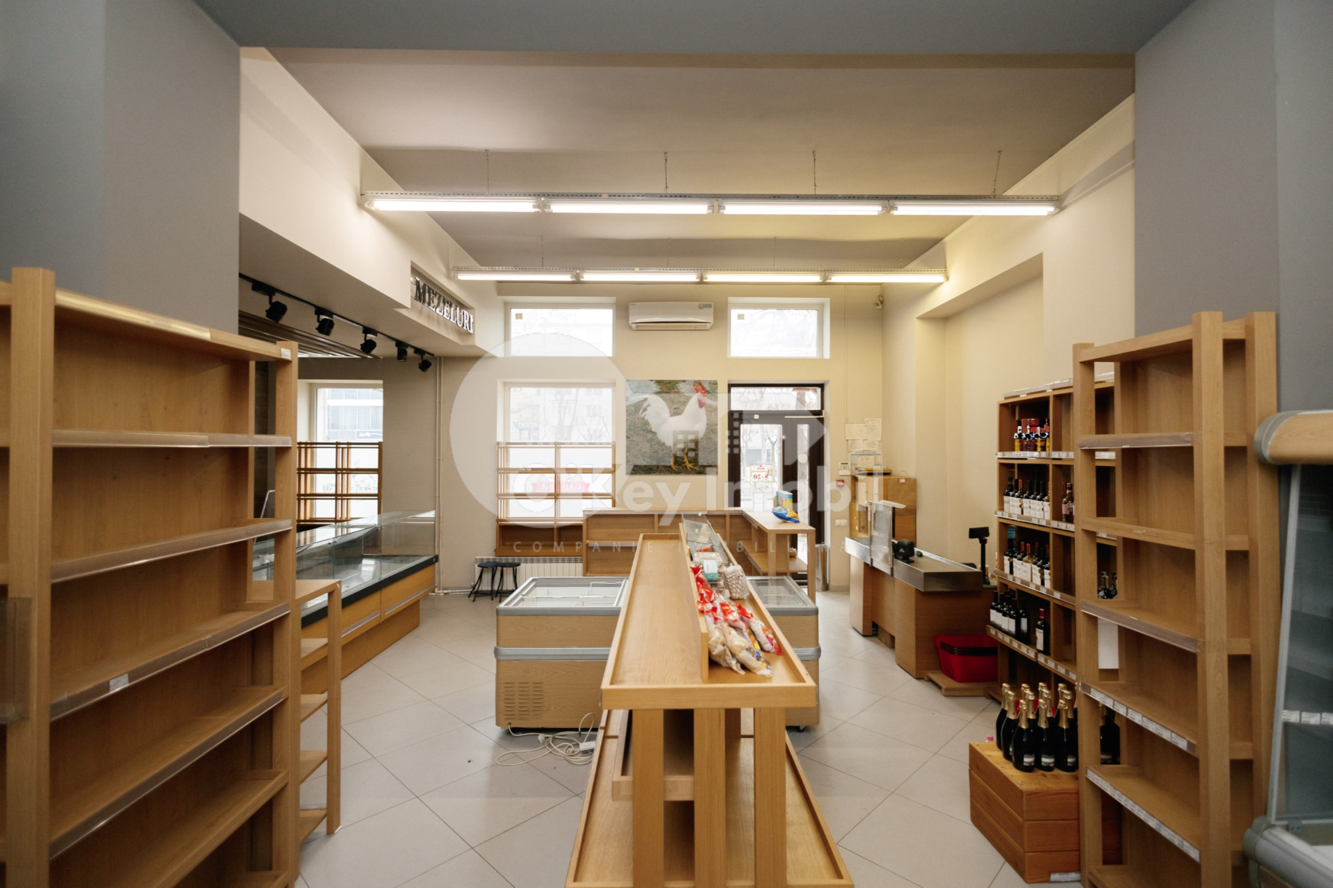 Spațiu comercial, Centru, GRIGORE VIERU