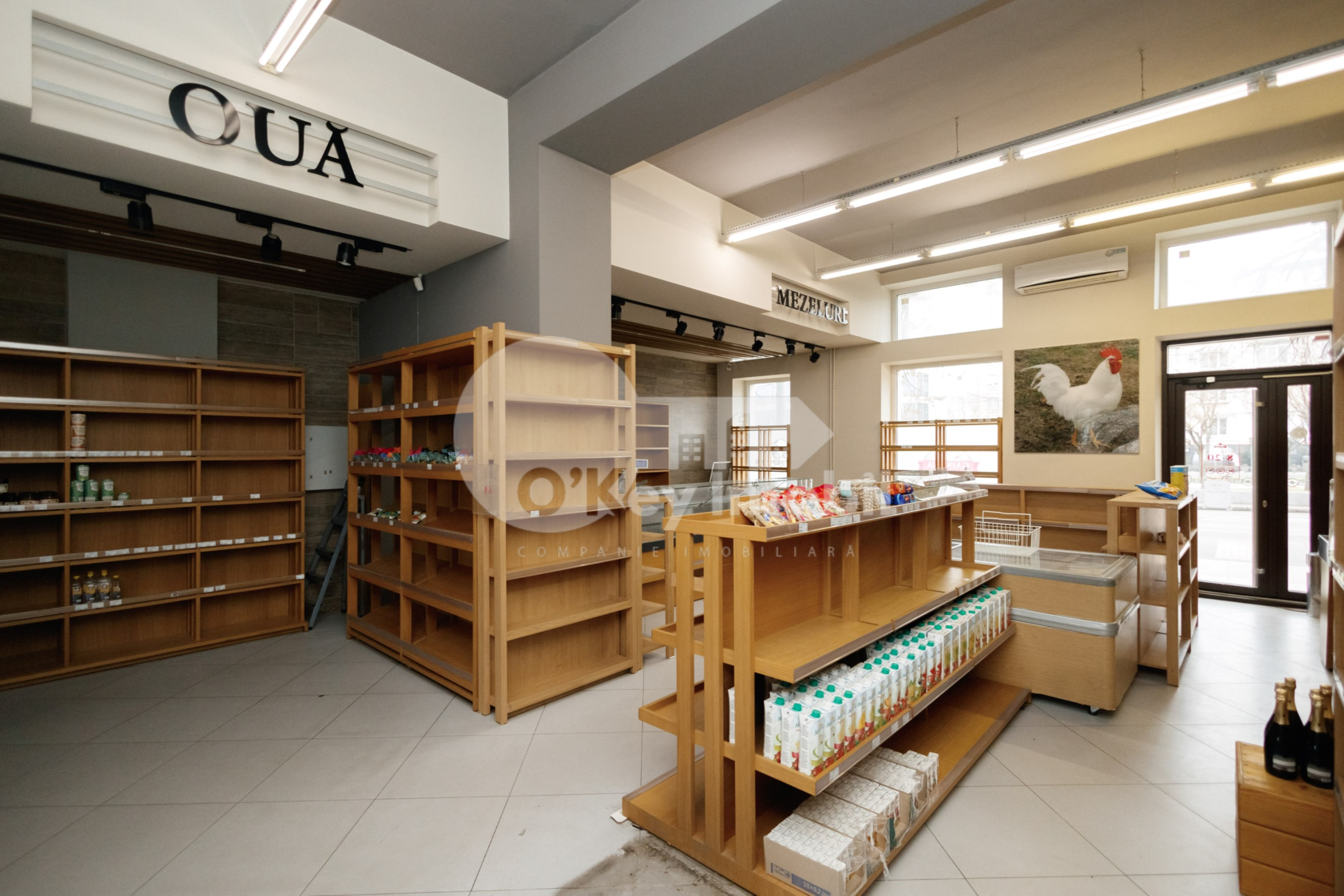 Spațiu comercial, Centru, GRIGORE VIERU