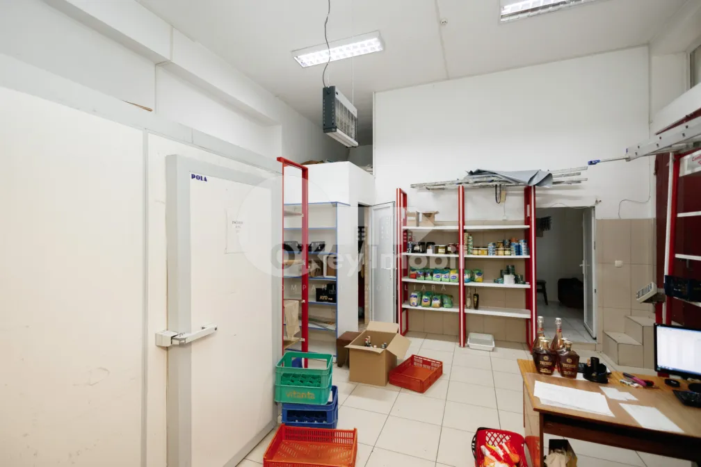 Комм. помещение, Центр, ГРИГОРЕ ВИЕРУ