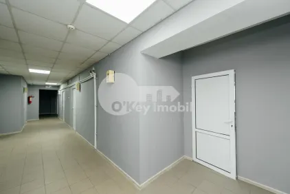 Офис, Буюканы, КОЛУМНА