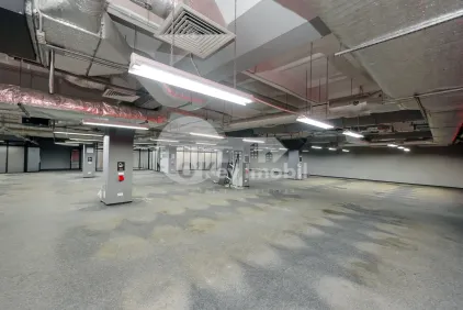 Комм. помещение, Ботаника, ДАЧИЯ