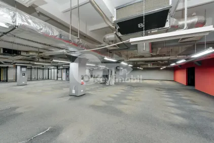 Комм. помещение, Ботаника, ДАЧИЯ