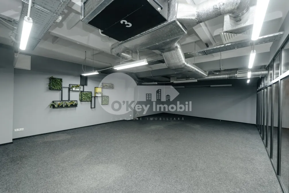 Spațiu comercial, Botanica, DACIA