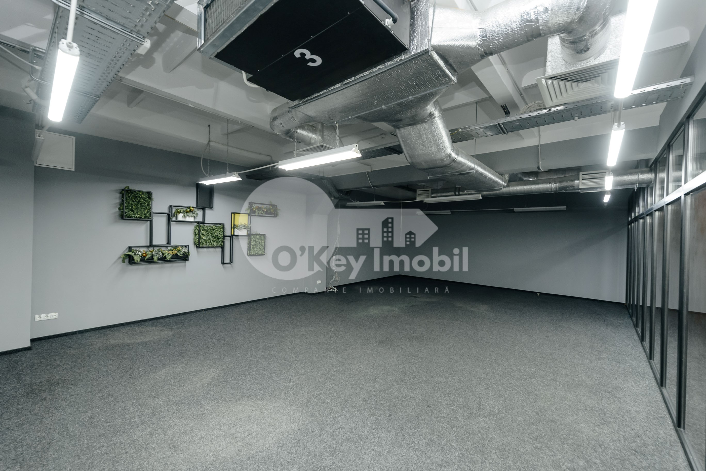 Spațiu comercial, Botanica, DACIA