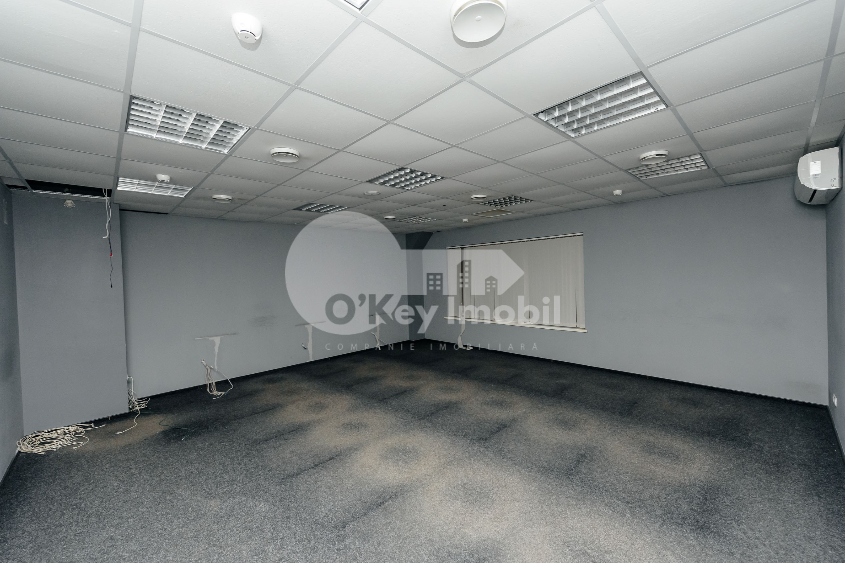 Spațiu comercial, Botanica, DACIA