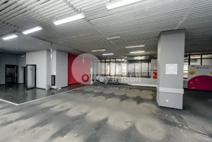 Комм. помещение, Ботаника, ДАЧИЯ