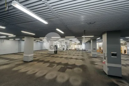 Комм. помещение, Ботаника, ДАЧИЯ