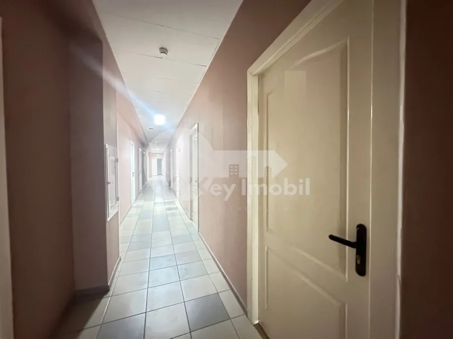 Офис, Ботаника, ДЕЧЕБАЛ