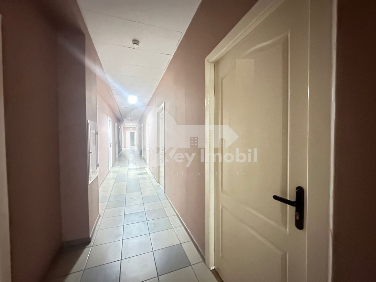 Oficiu, Botanica, DECEBAL