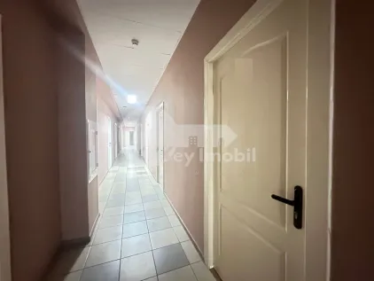 Офис, Ботаника, ДЕЧЕБАЛ